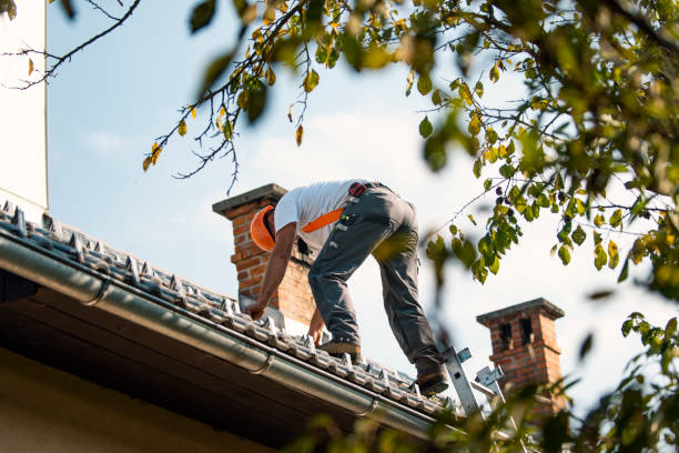 Best Slate Roofing Contractor  in Hustisford, WI