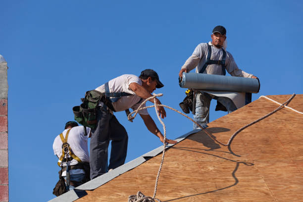 Best Metal Roofing Contractor  in Hustisford, WI