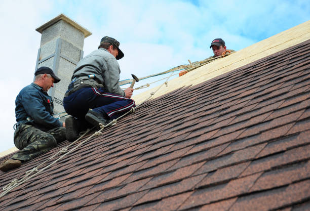 Best Flat Roof Repair Services  in Hustisford, WI