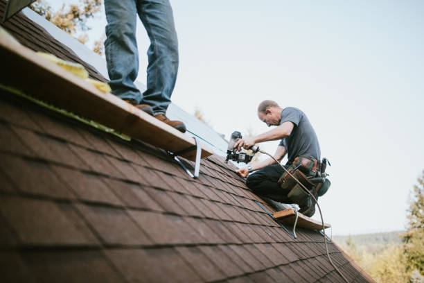 Best Shingle Roofing Installation  in Hustisford, WI