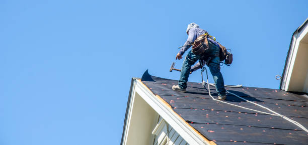 Best Residential Roofing Contractor  in Hustisford, WI